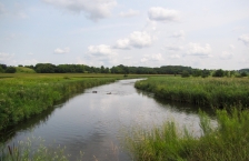Stream running through a grassy field with small hills in the distance.